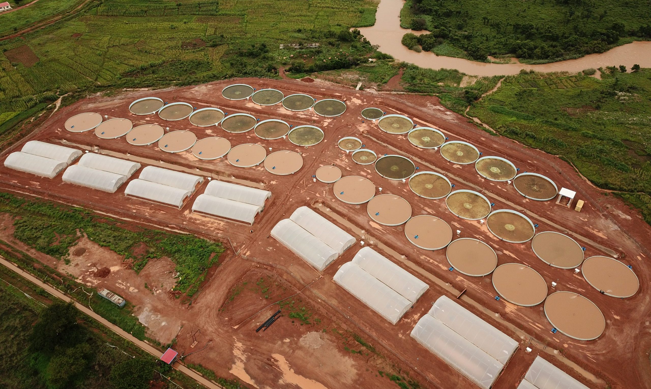 Fish Farm Center In Cuando Cubango Menomadin Group